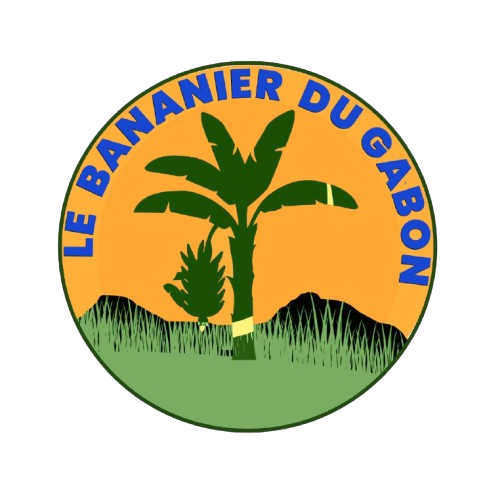 lebananierdugabon.com